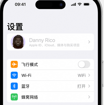 多祥镇appleID维修服务iPhone设置中Apple ID显示为灰色无法使用