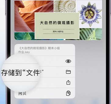 多祥镇apple维修中心分享iPhone文件应用中存储和找到下载文件