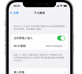 多祥镇apple服务站点分享iPhone上个人热点丢失了怎么办