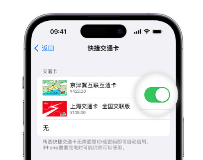 多祥镇apple维修点分享iPhone上更换Apple Pay快捷交通卡手绘卡面 