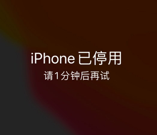 多祥镇苹果手机维修分享:iPhone 显示“不可用”或“已停用”怎么办？还能保留数据吗？ 