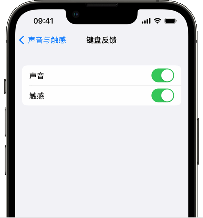 多祥镇苹果14维修店分享如何在 iPhone 14 机型中使用触感键盘 