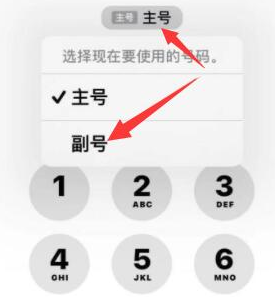 多祥镇苹果14维修店分享iPhone 14 Pro Max使用副卡打电话的方法 