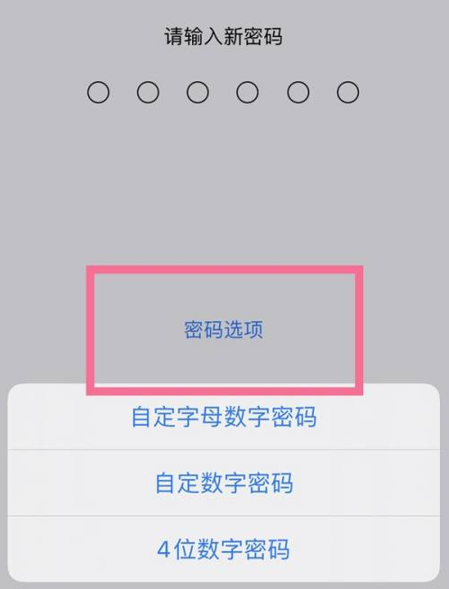 多祥镇苹果14维修分享iPhone 14plus设置密码的方法 