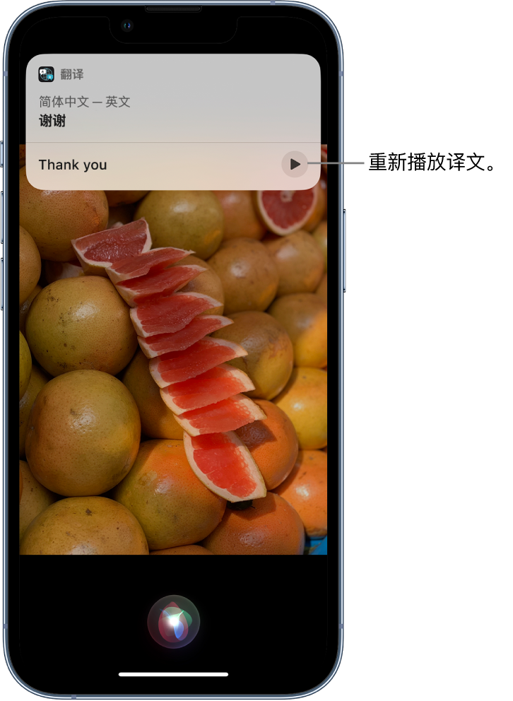 多祥镇苹果14维修分享 iPhone 14 机型中使用 Siri：了解 Siri 能帮你做什么 