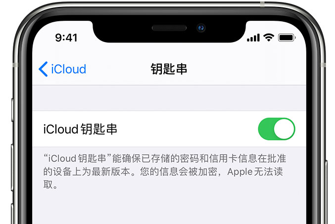 多祥镇苹果手机维修分享在 iPhone 上开启 iCloud 钥匙串之后会储存哪些信息 