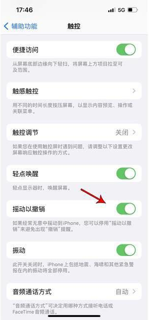 多祥镇苹果手机维修分享iPhone手机如何设置摇一摇删除文字 